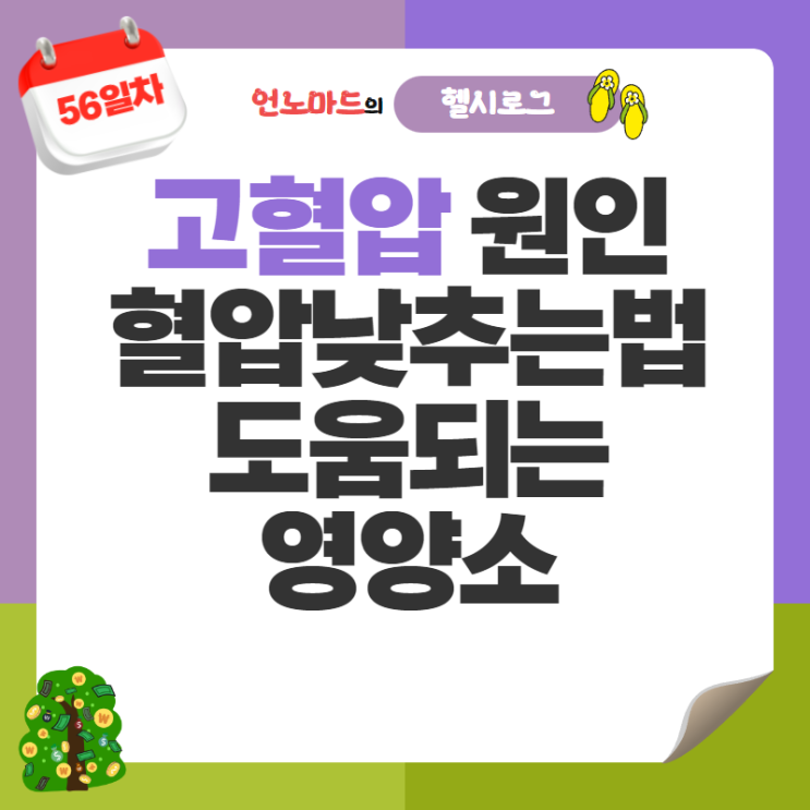  56일차, 고혈압 원인과 혈압낮추는법 그리고 도움되는 영양소