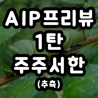  팔란티어, '이건' 미쳤으니까 당신만 보세요. AIP 1탄 주주서한 추측