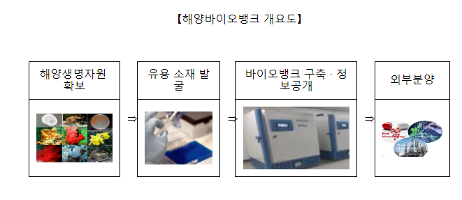 해양바이오은행(뱅크) 소재를 원료로 한 화장품 최초로 출시 해양바이오은행(뱅크) 소재를 원료로 한 화장품 최초로 출시