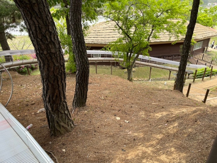  [아이와 공주여행] 뭐야 여기 너무 좋아요. 대전에서 30분! 공주 석장리박물관에 있는 엉덩이는 조금 아프지만 기다란 롤라이더가 있는 곳 5세 어린이 꿀잼 우왕 정말 최고