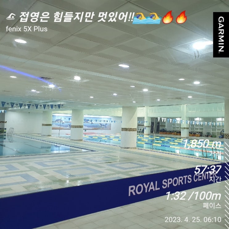 [수영일기] 4월 25일 회장님이 파이팅이 넘치는 이유!