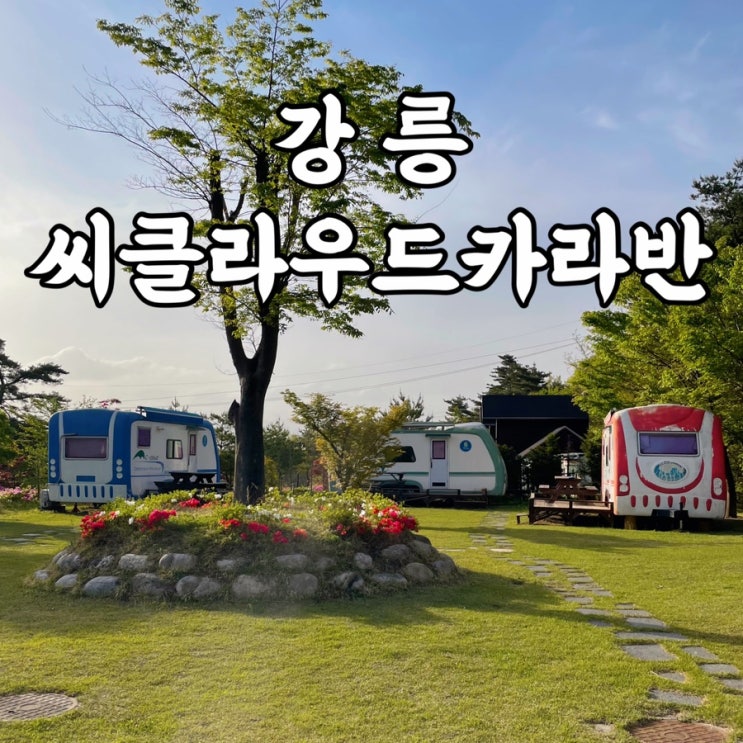  강릉)씨클라우드카라반 강릉여행 중 방문한 강릉감성숙소