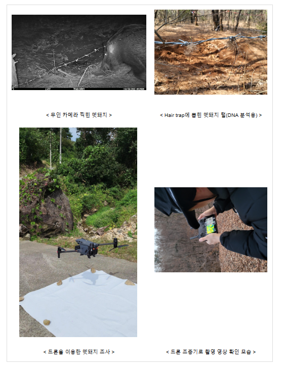 전국 야생멧돼지 서식밀도 당 1.1마리 전국 야생멧돼지 서식밀도 당 1.1마리