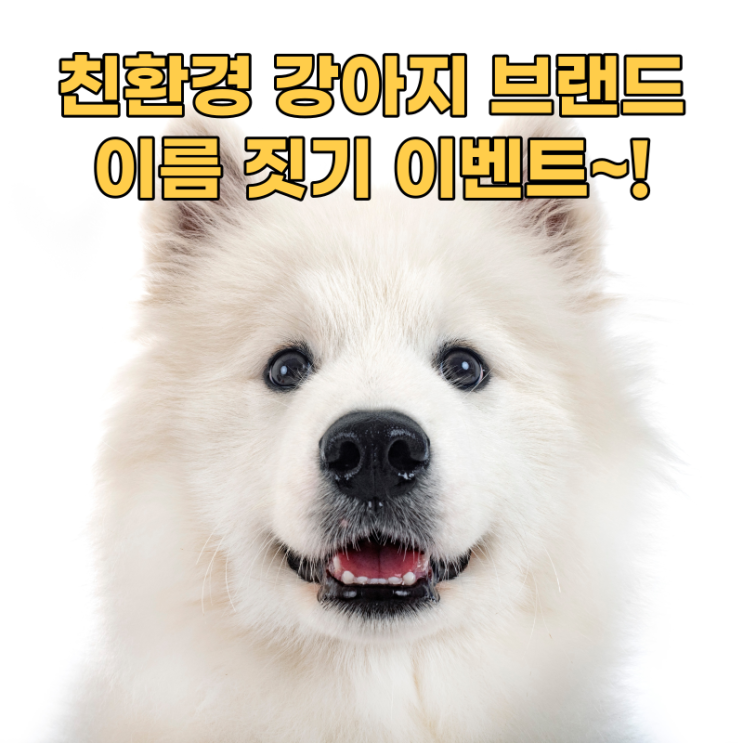  친환경 브랜드 이름 짓기 이벤트~!