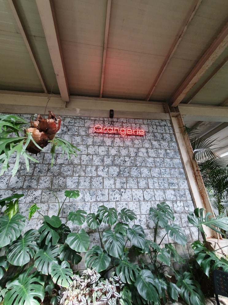  서울 근교 양주 힐링 식물원 숲 정원 대형 카페 오랑주리(Orangerie)추천 및 후기