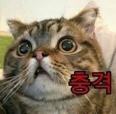  2023년 1회 정보처리기사 실기 후기 및 결과 발표 날짜(feat_기출문제)
