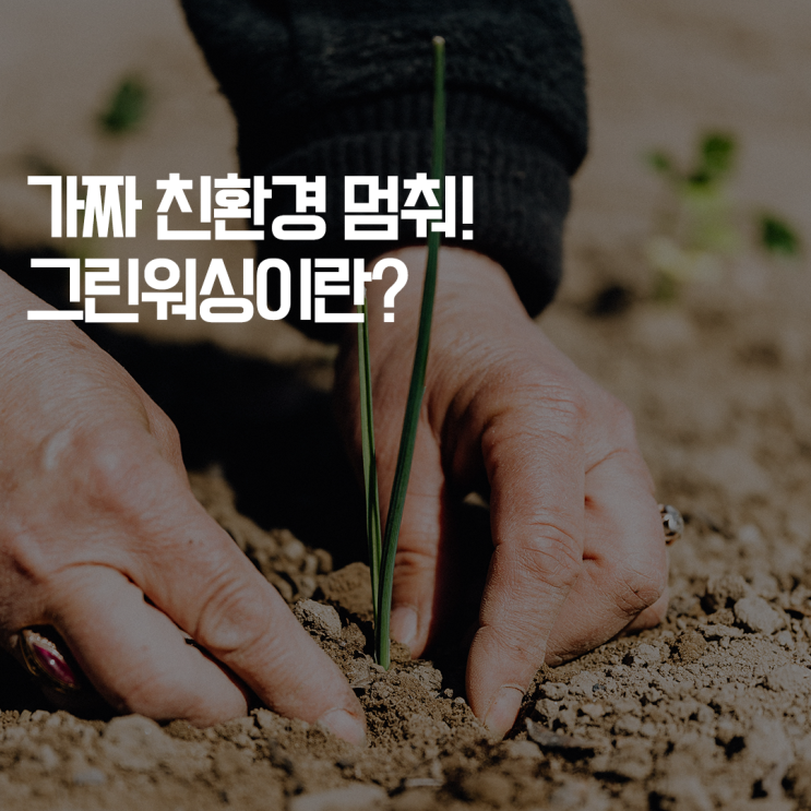  [심플플래닛의 심플두잇] 가짜 친환경 멈춰! 그린워싱이란?