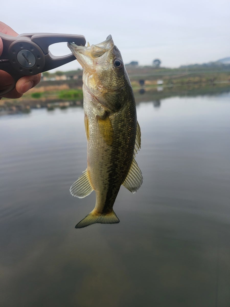 강변식당 사진 6