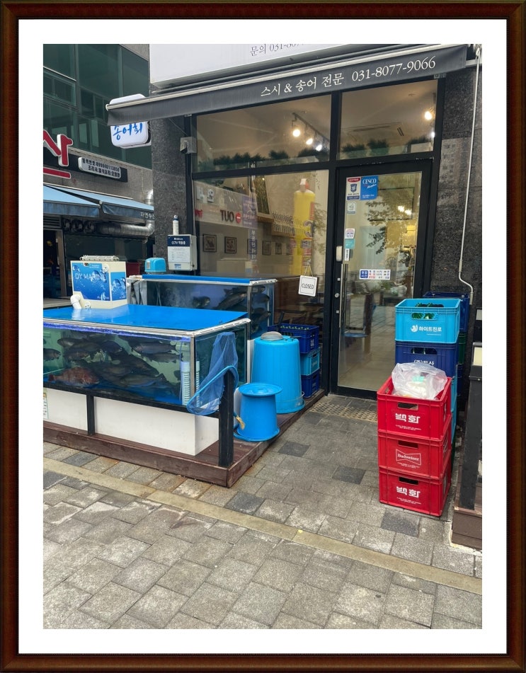  향남맛집 신선한  초밥  스시앤송어