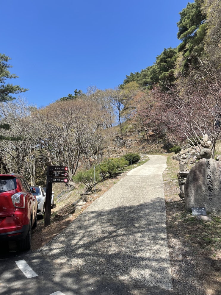  [대구] 참꽃 등산코스 / 100대 명산 비슬산