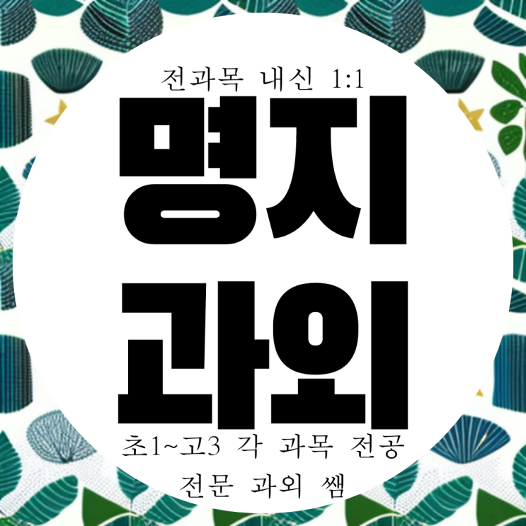 명지신도시 고등 영어과외 중학생 명지국제신도시 중등 수학과외 국어 영수 전과목