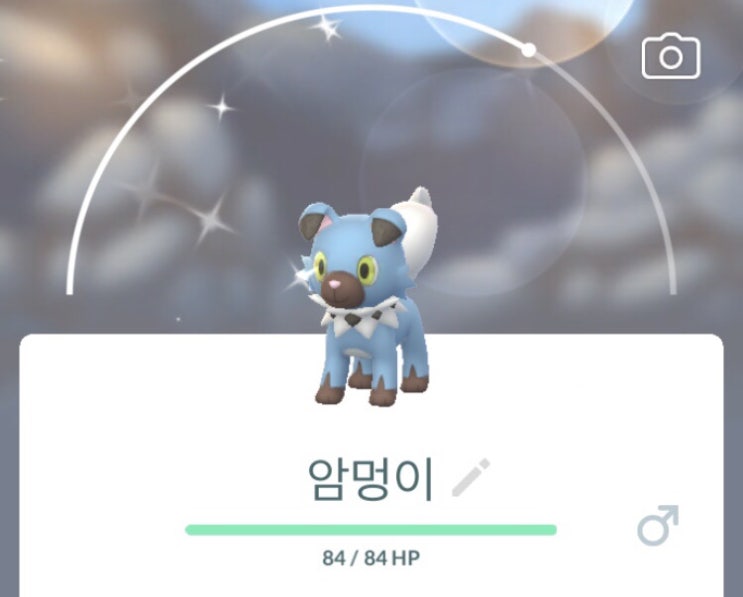  포켓몬고 암멍이 이로치 및 진화체 루가루암 한낮과 한밤중의 모습!