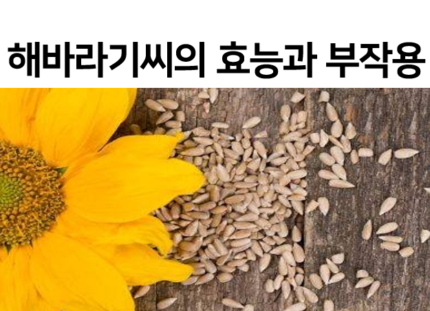  해바라기씨의 효능과 부작용을 알아보자