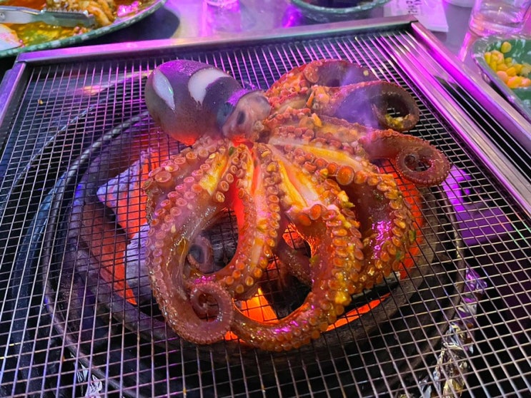  삼바리 장산점 핫플레이스 술집 숯불문어구이, 조개구이, 해물탕,