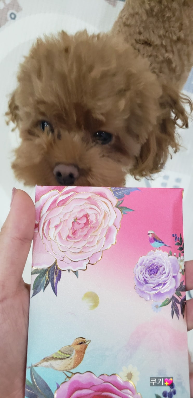  :)  박쿠키 기록