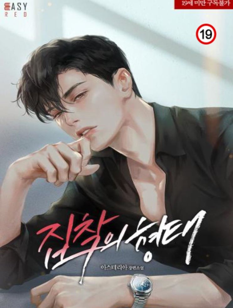  [블라이스 서평단 6기 / 로맨스 소설 추천] 집착의 형태