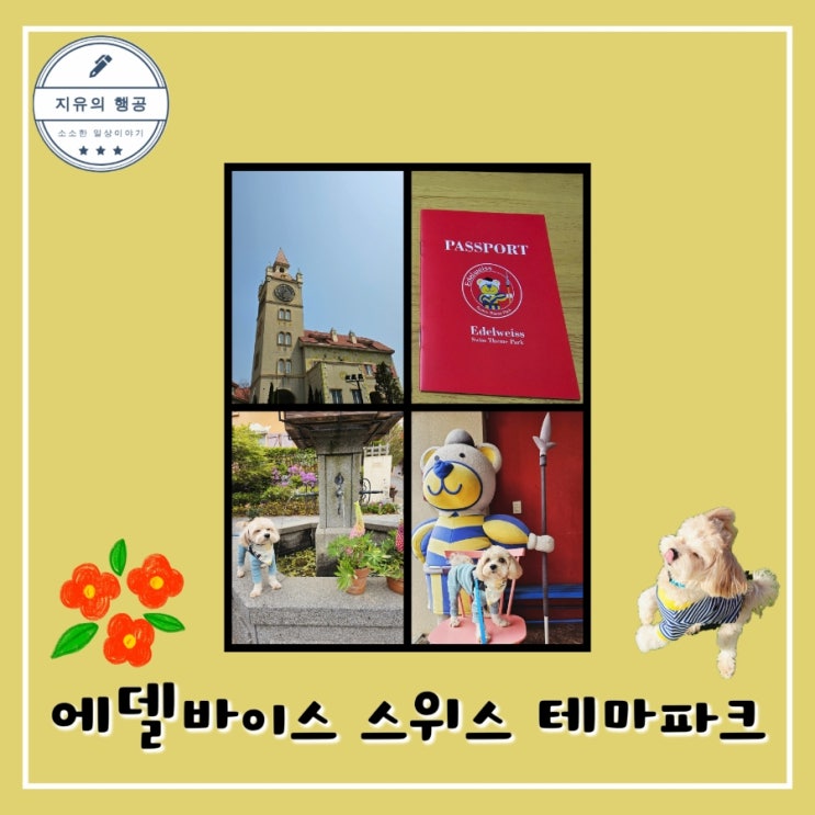 애견 동반 스위스 마을 <에델바이스 스위스 테마파크> 가평 당일치기