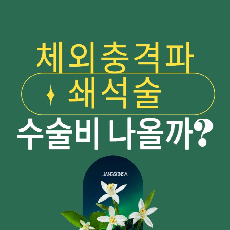  체외 충격파쇄석술 수술비 청구하기