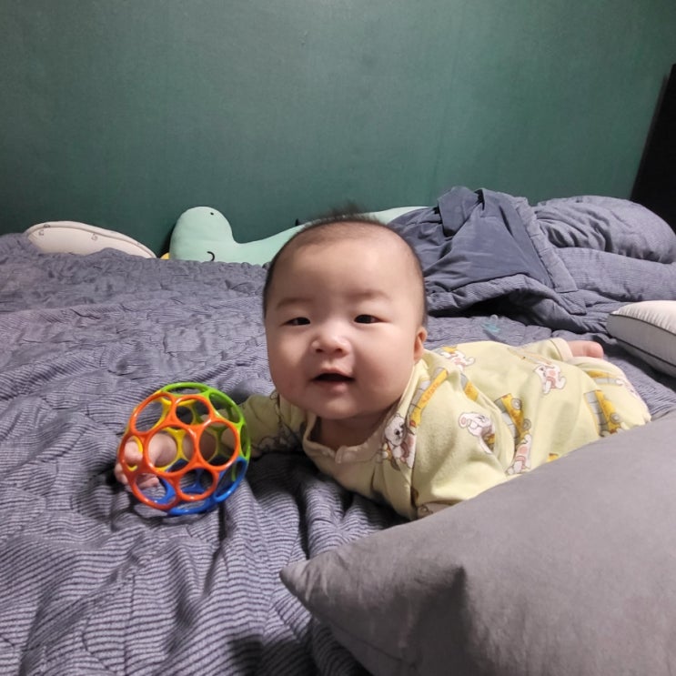  오늘은 스지탕이 먹고 싶은 날