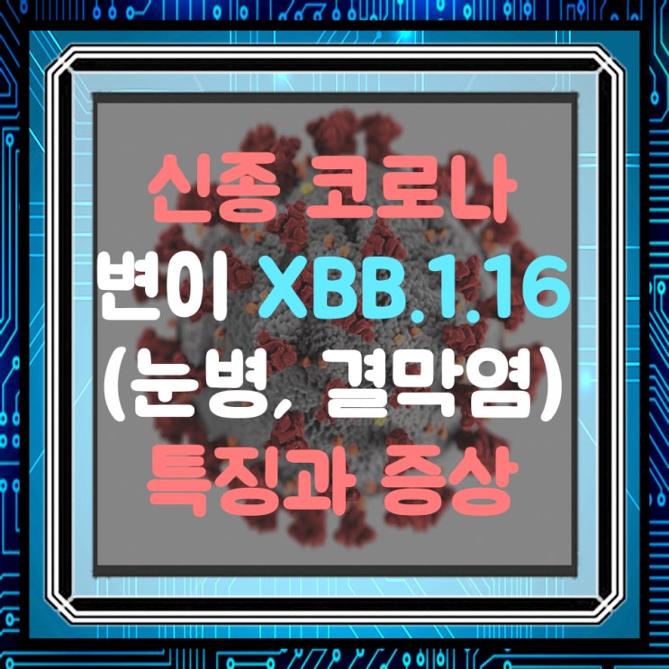  코로나 새변이(XBB.1.16) 눈병(결막염, 안구충혈, 가려움증) 증상 알아보기