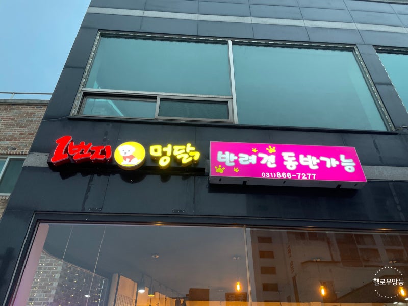 사진 4
