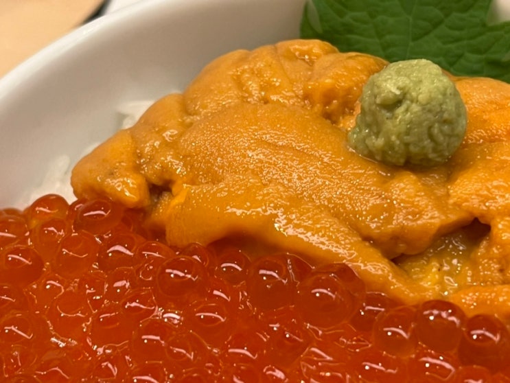  삿포로 역 카이센동 맛집 추천 우니 무라카미 우니동 할인 팁