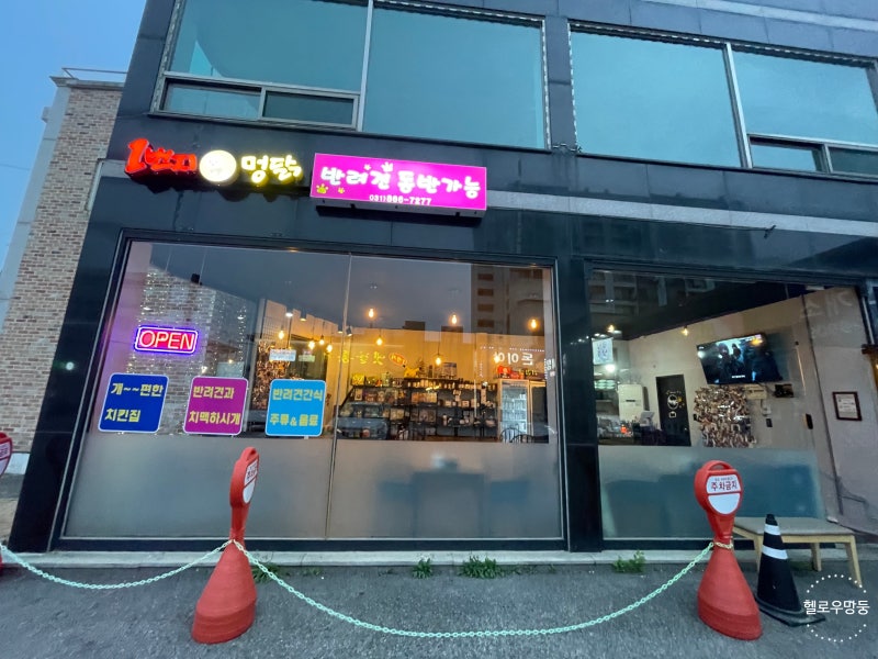 사진 3