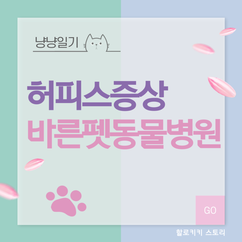 바른펫동물병원 고양이허피스 증상 및 치료비용