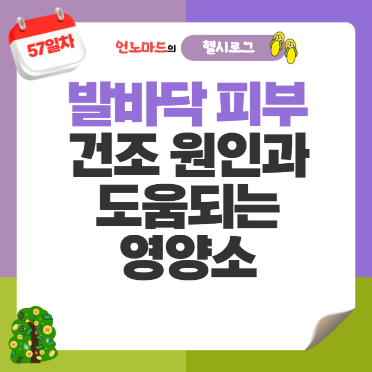  57일차, 발바닥 피부 건조 원인과 도움되는 영양소