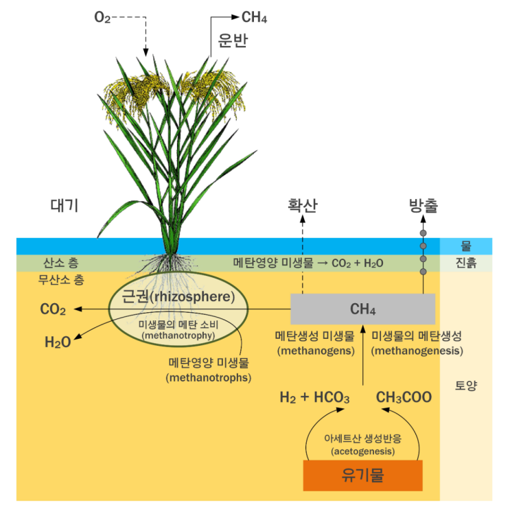  쌀 문제를 바라보는 시각이 너무 형이상학적아닌가
