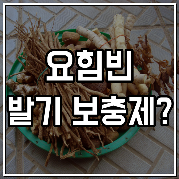  요힘빈 발기 보충제 무엇일까