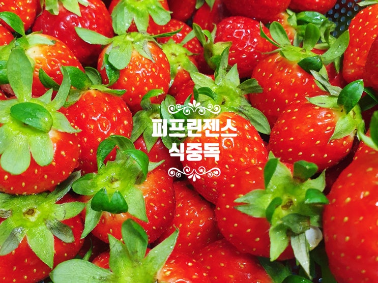  퍼프린젠스 식중독 예방과 식자재 구입 요령