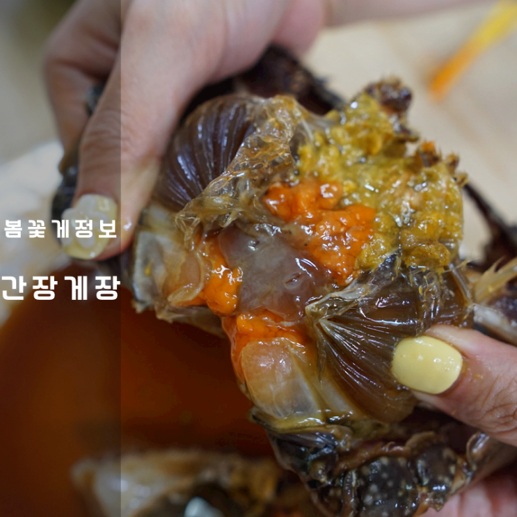  일오삼씨 군산 간장게장 제철 봄꽃게 손질 보관법