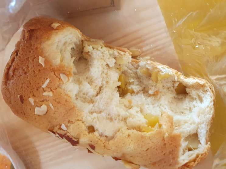  대전 빵집 맛집 성심당 롯데 dcc 대전역 공주 알밤 식빵 소금빵 페스츄리 크로와상 메뉴 추천 내돈내산 리뷰 후기