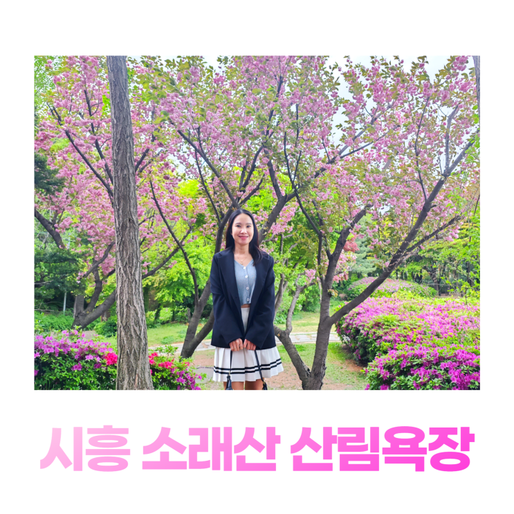 시흥 소래산 산림욕장 겹벚꽃 아이들이 좋아하는 놀자숲 시흥 소래산 산림욕장 겹벚꽃 아이들이 좋아하는 놀자숲