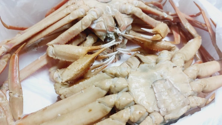  대구 박달 대게 맛집 '대게ZIP(정직한 대게집 본점)' 내돈내산 찐리얼후기