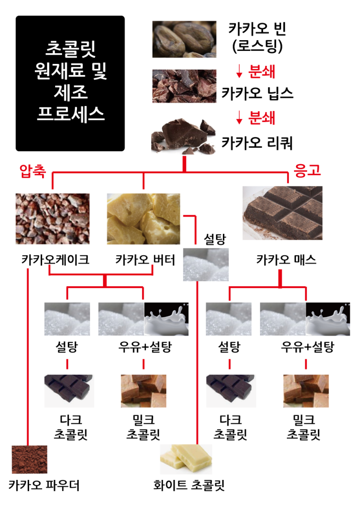  카페모카/초코라떼에 들어가는 초콜릿 시럽에 대해서 알아보자(카카오/다크초콜릿/밀크초콜릿/카카오매스/카카오버터)