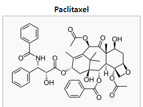 [암] 파클리탁셀paclitaxel과 암세포