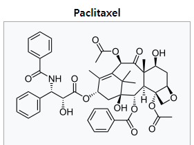  [암] 파클리탁셀paclitaxel과 암세포