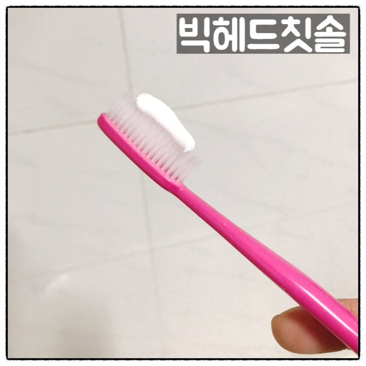  웰티스 빅헤드44 칫솔 부드러운칫솔 사용후기