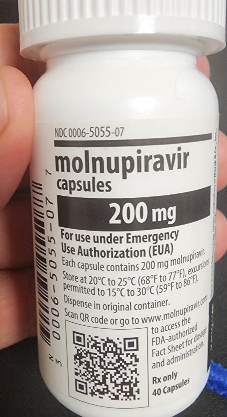  먹는 코로나 치료제 몰누피라비르(molnupiravir) 복용후기