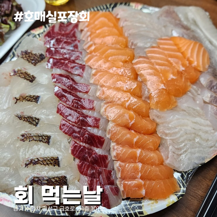  [수원/호매실횟집] 엄청난 가성비 활어회 모둠회 포장전문맛집 회 먹는 날