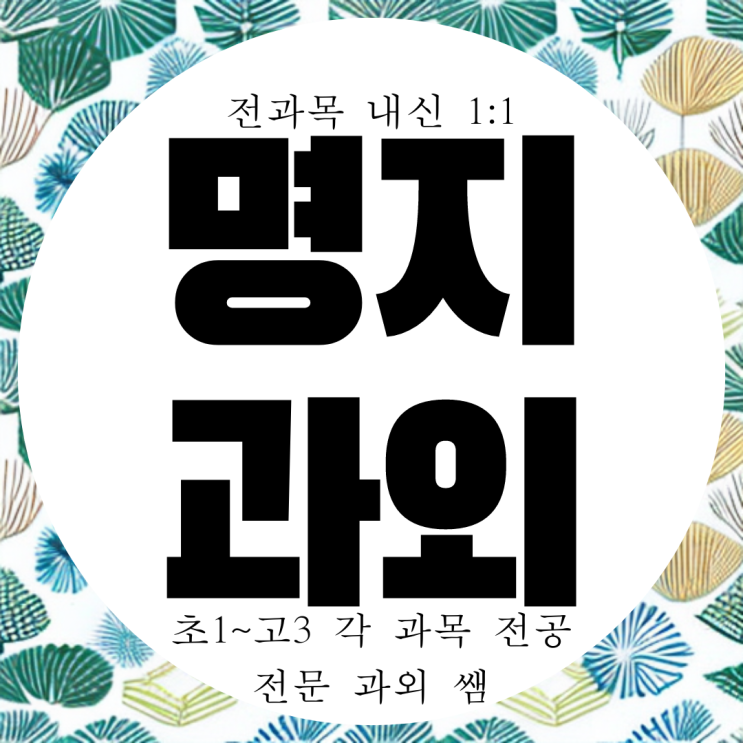  명지 고등 영어과외 중학생 수학과외 명지동 중등 국영수 전문 명호고 내신 대비