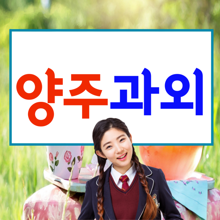  양주 옥정신도시 중등 수학과외 덕정동 고등 영어과외 사회 국어