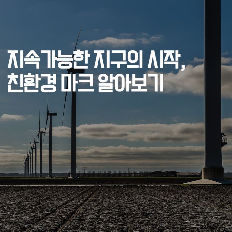  [심플플래닛 심플두잇] 지속가능한 지구의 시작, 친환경 마크 알아보기