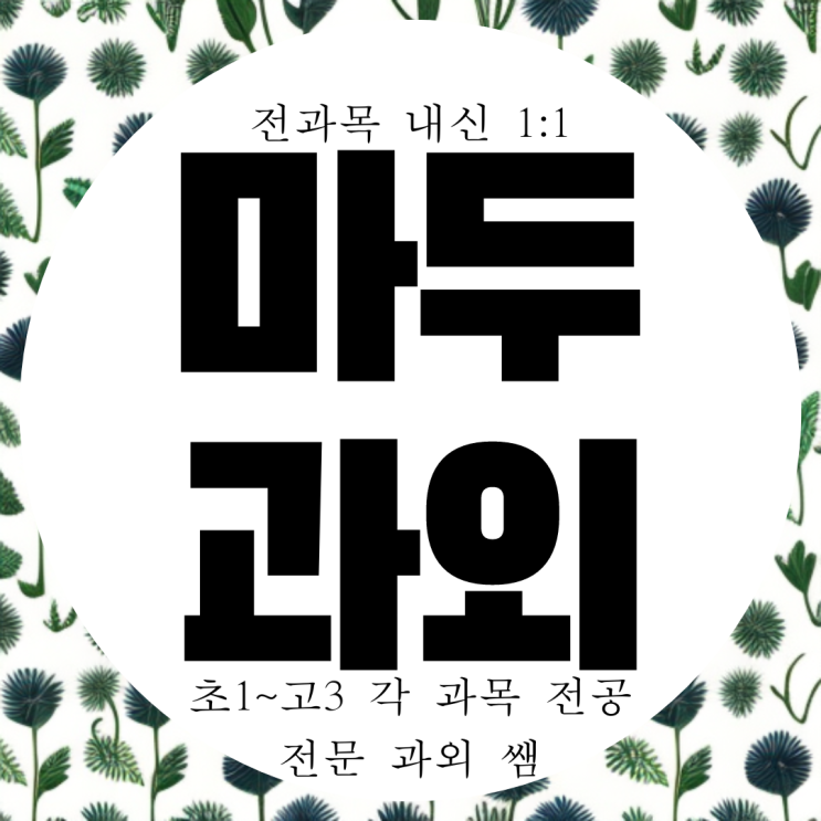  마두과외 고등 마두1동 영어과외 마두2동 중학생 중등 수학과외 방문