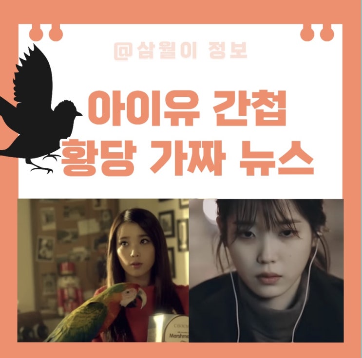 <b>아이유</b> 간첩 _ 찌라시 가짜뉴스 대장동 주인공??