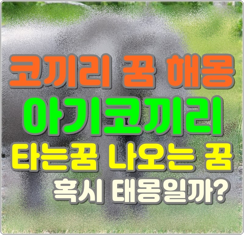 코끼리 꿈 해몽 아기코끼리 타는꿈 나오는 꿈 태몽일까?