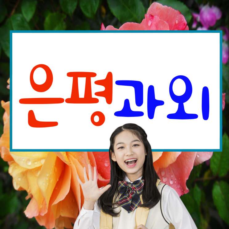  은평구 우물골 중등 수학과외 불광동 영어과외 고등 사탐 과탐