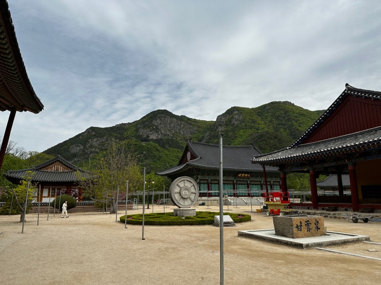  온실재배, 노지재배, 자연재배